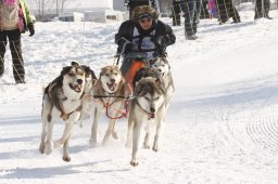 Lenk 2012 SM